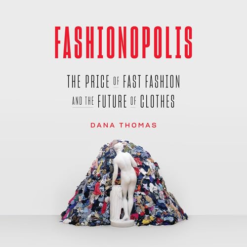 Cover of Fashionopolis