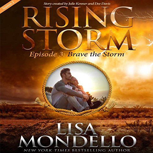 Cover of Brave the Storm