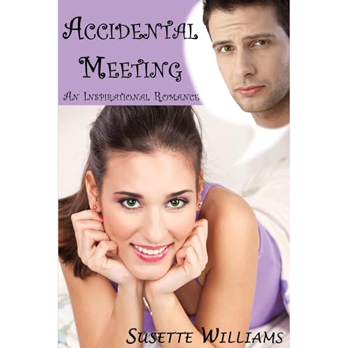 Cover of Accidental Meeting