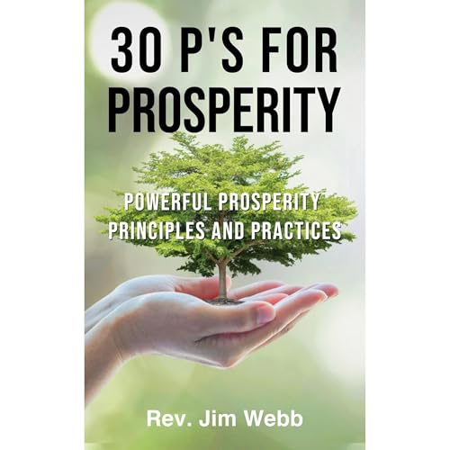Cover of 30 P's for Prosperity