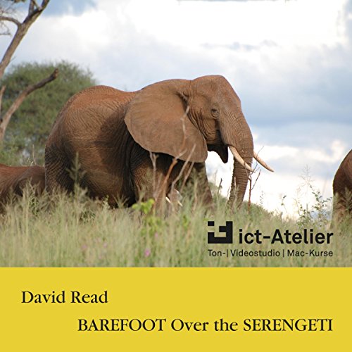 Cover of Barefoot over the Serengeti