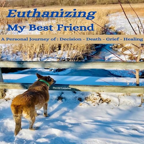 Cover of Euthanizing My Best Friend