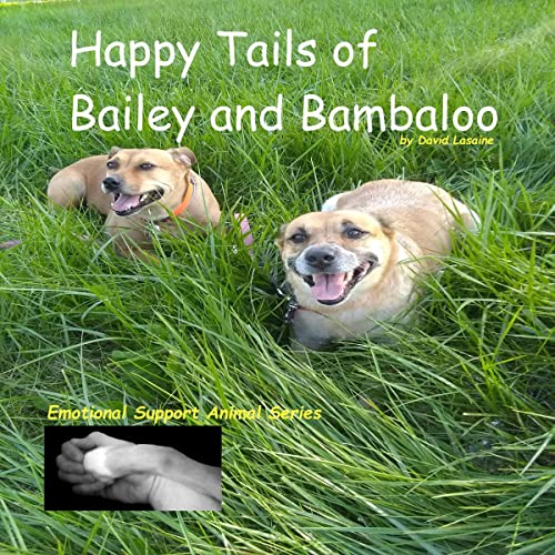 Cover of Happy Tails of Bailey and Bambaloo