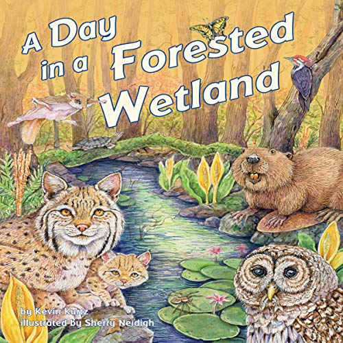 Cover of A Day in a Forested Wetland