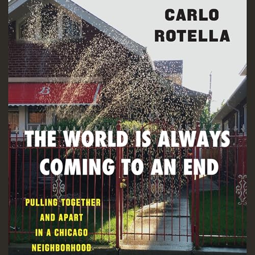 Cover of The World Is Always Coming to an End