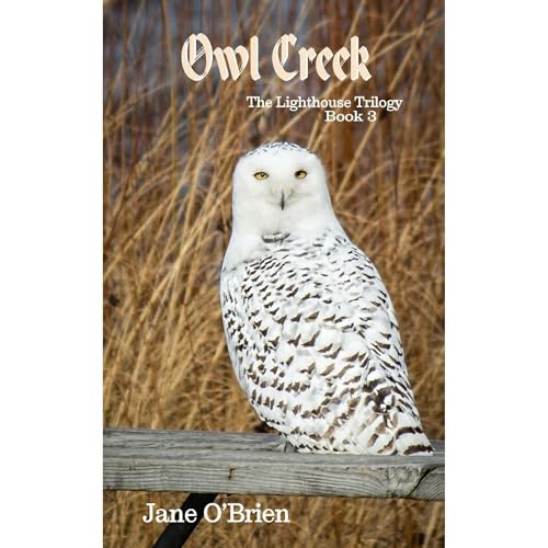 Cover of Owl Creek