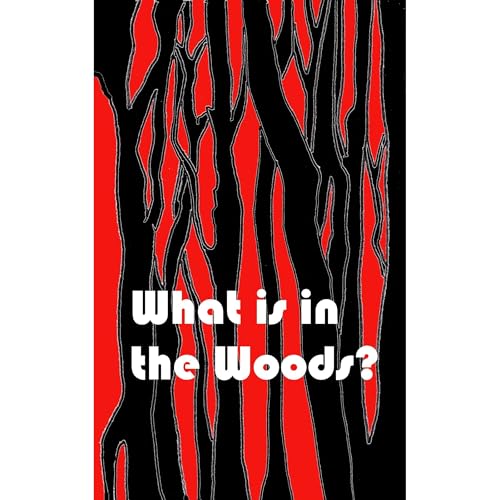 Cover of What is in the Woods?