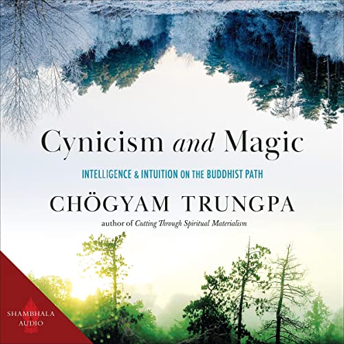 Cover of Cynicism and Magic