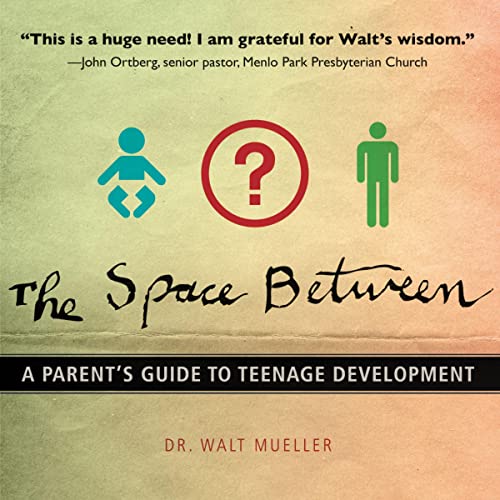 Cover of The Space Between