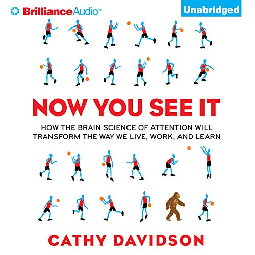 Cover of Now You See It