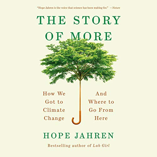 Cover of The Story of More