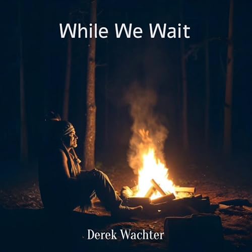 Cover of While We Wait
