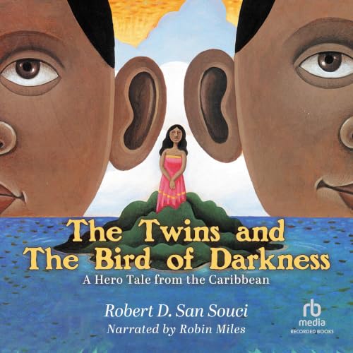 Cover of The Twins and the Bird of Darkness