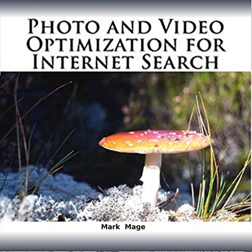 Cover of Photo and Video Optimization for Internet Search
