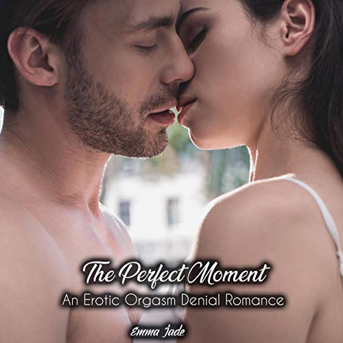 Cover of The Perfect Moment