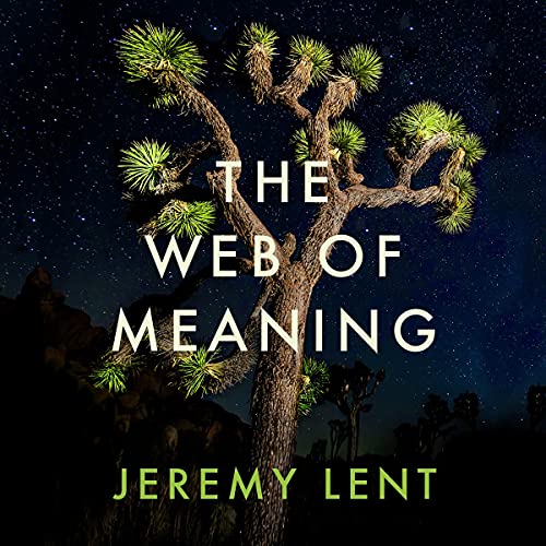 Cover of The Web of Meaning
