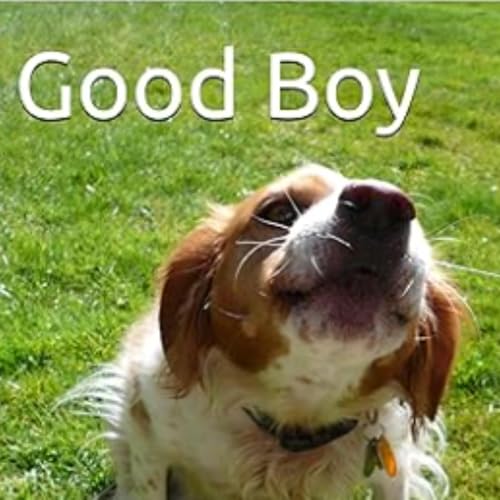 Cover of Good Boy