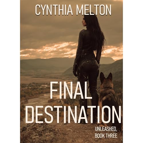 Cover of Final Destination
