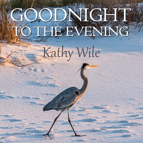 Cover of Goodnight to the Evening