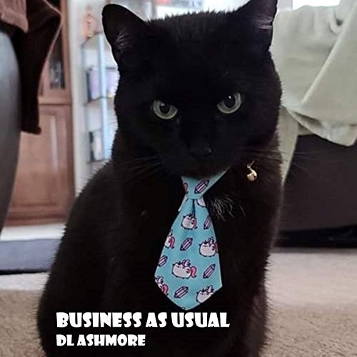 Cover of Business as Usual