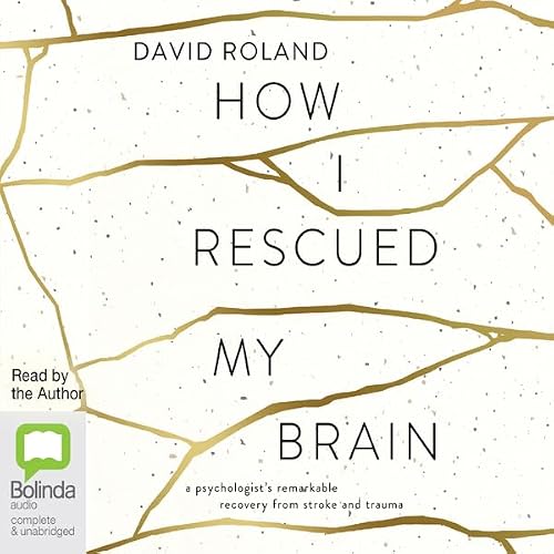 Cover of How I Rescued My Brain