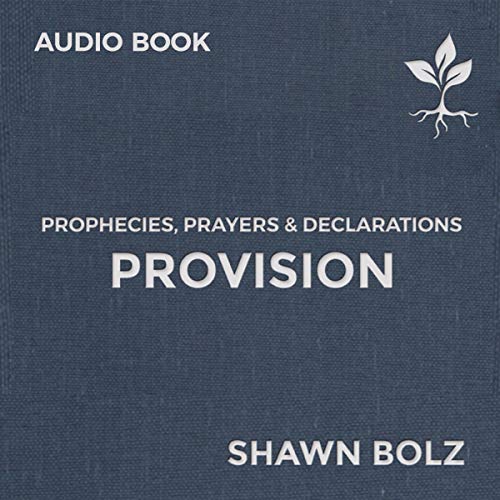 Cover of Provision: Prophecies, Prayers & Declarations (2)