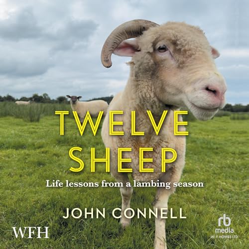 Cover of Twelve Sheep