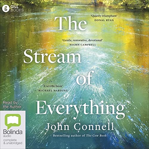 Cover of The Stream of Everything