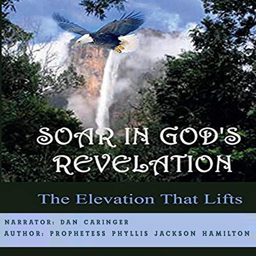 Cover of Soar in God's Revelation