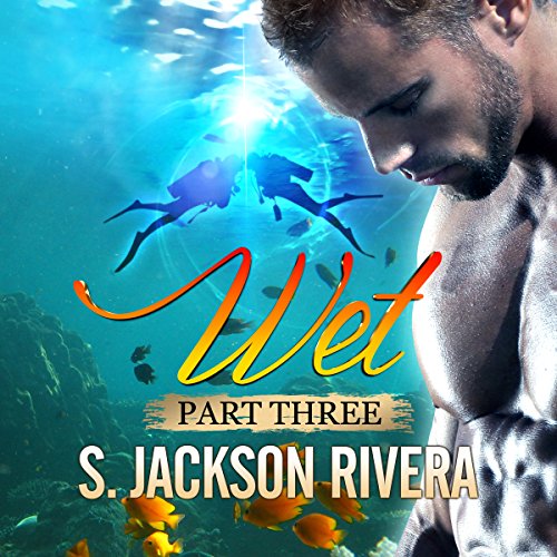 Cover of Wet Part 3