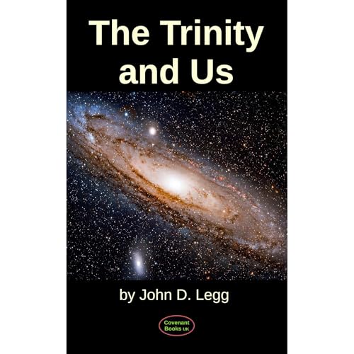 Cover of The Trinity and Us