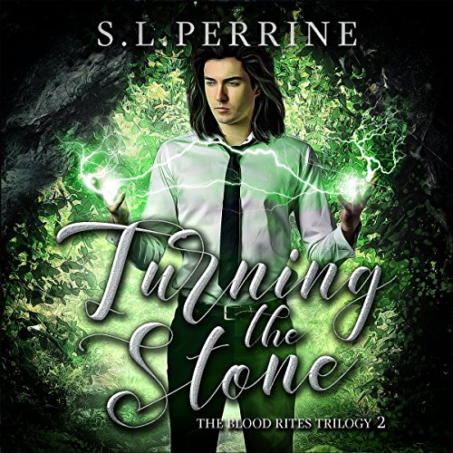 Cover of Turning the Stone