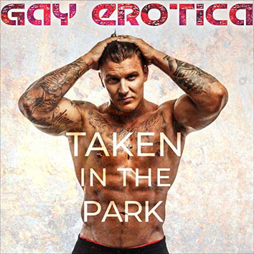 Cover of Taken in the Park