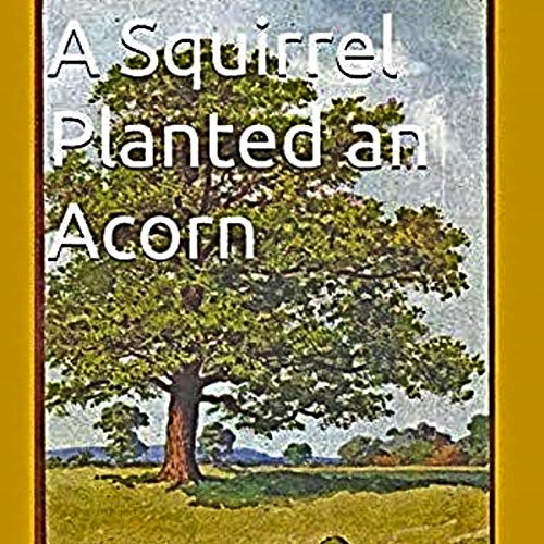 Cover of A Squirrel Planted an Acorn