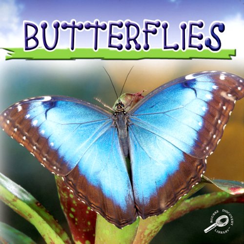 Cover of Butterflies