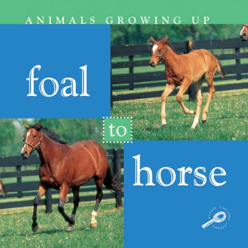 Cover of Foal to Horse