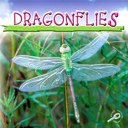 Cover of Dragonflies