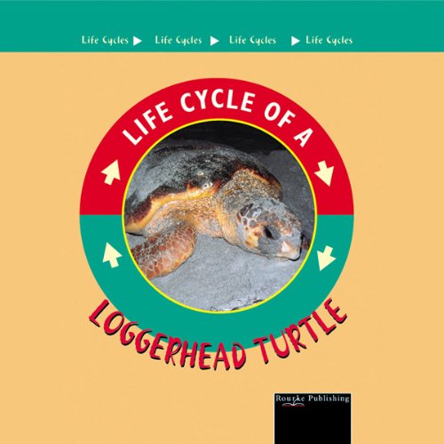 Cover of Loggerhead Turtle
