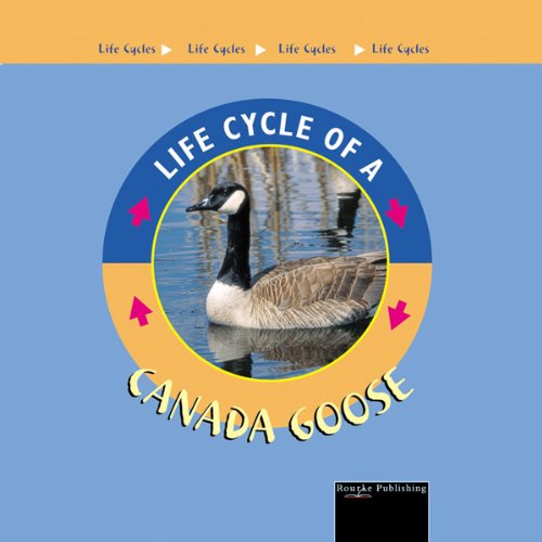 Cover of Life Cycles