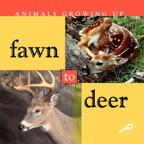 Cover of Animals Growing Up