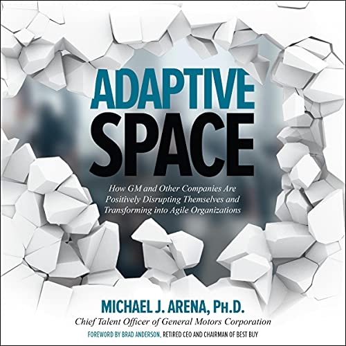Cover of Adaptive Space