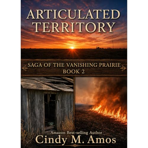 Cover of Articulated Territory