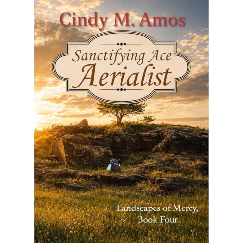 Cover of Sanctifying Ace Aerialist