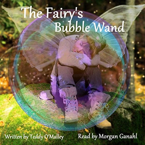 Cover of The Fairy's Bubble Wand