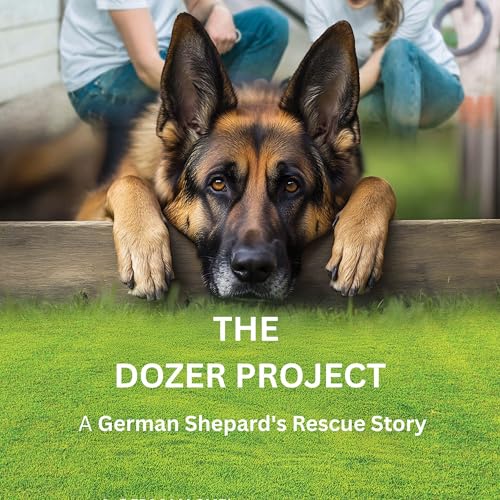 Cover of The Dozer Project