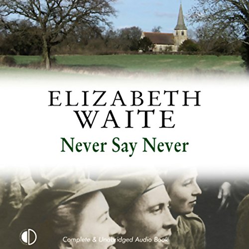 Cover of Never Say Never