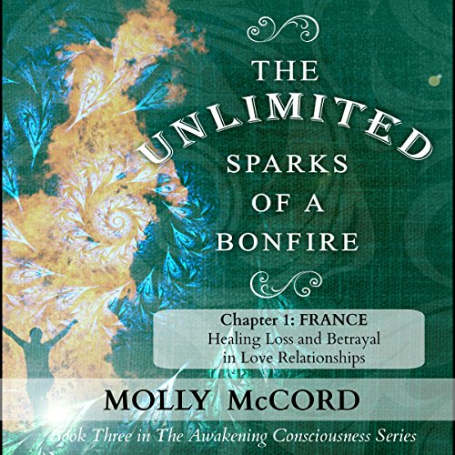 Cover of The Unlimited Sparks of a Bonfire, Chapter 1