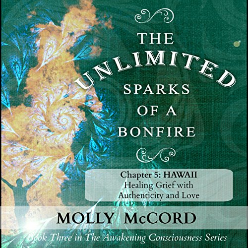 Cover of The Unlimited Sparks of a Bonfire, Chapter 5: Hawaii