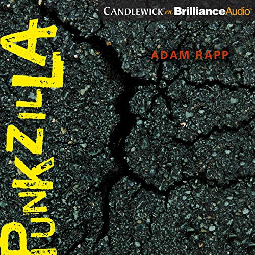 Cover of Punkzilla