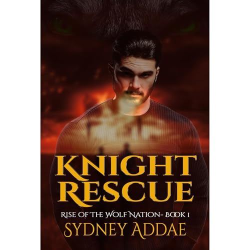 Cover of Knight Rescue
